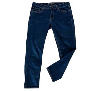 Big Star Hazel mid rise skinny fit jeans size 29